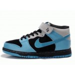 Dunk Mid SB PRO