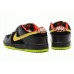 Кроссовки Nike Dunk Low 01M