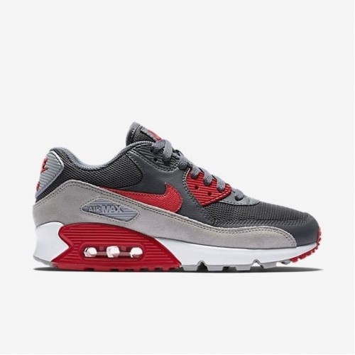Кроссовки Nike Air Max 90 Grey Red (Е211)