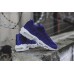 Кроссовки Nike Air Max 95 Loyal Blue (Е394)